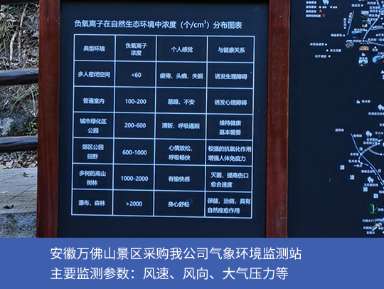 九游会ag网址大全